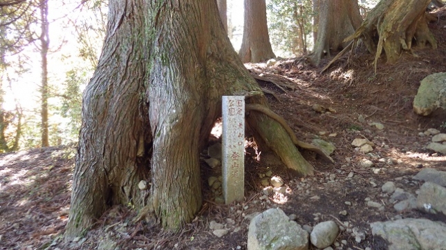 ③141大山登山道5丁目