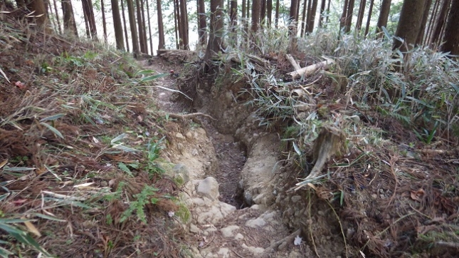 ⑥192地蔵岩コース