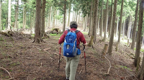 041分岐後の山道