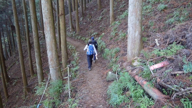 ⑤254蓑毛越へ参道