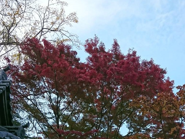 IMG_0423 - コピー