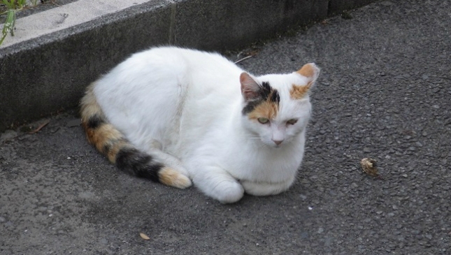 1-087んーん考え事です