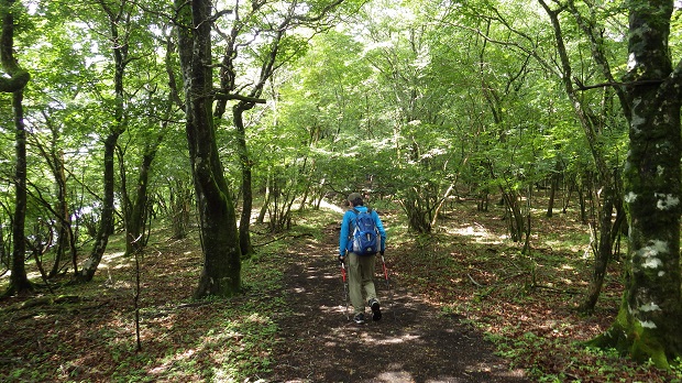 037三国山からロード