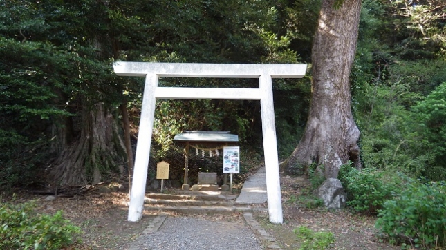 ⑤239伊豆山神社(白山神社遥拝所)180408