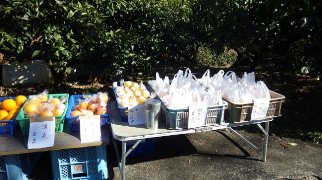 ⑪068曽我丘陵170204