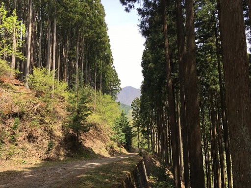 10d1cefb07979101e7605712273bd81751