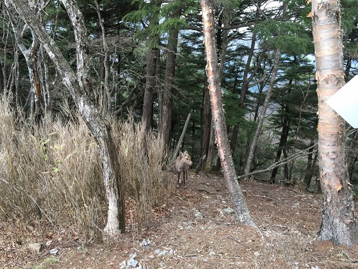 10eda959d617ed7be13b61df044305622d