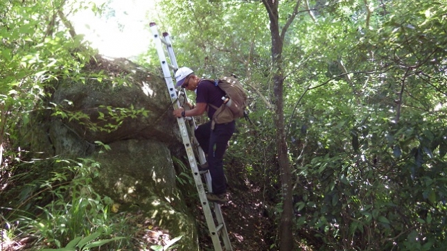 23大平山への道