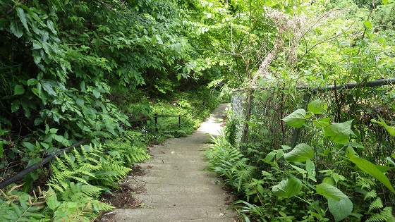 182入生田駅まで2000ｍ