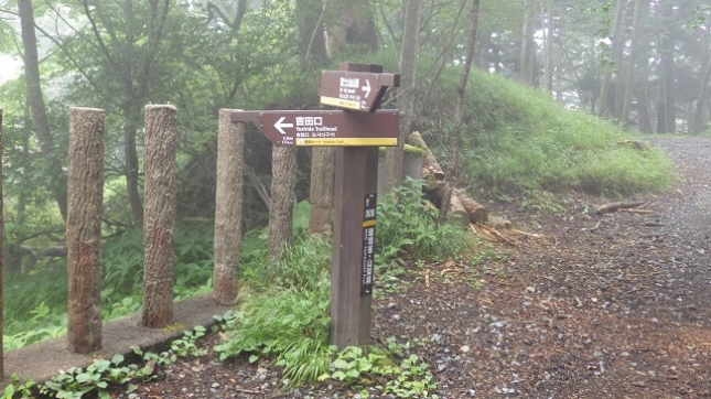 104細尾野林道分岐