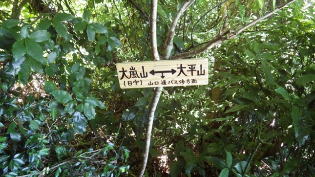 22山口峠