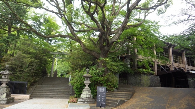 ②030二宮神社180517