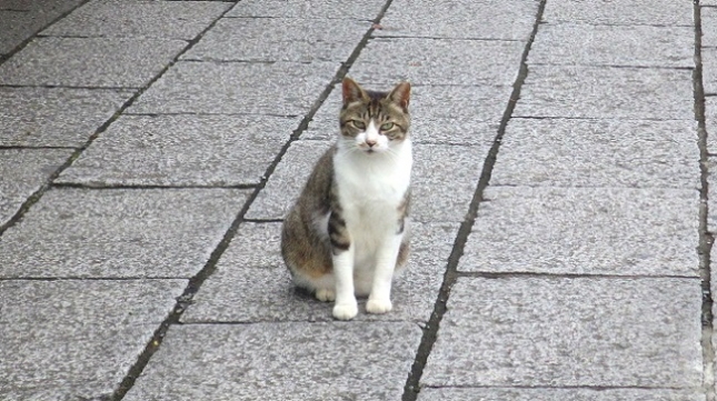 06160713小田原城037一言、言いたい