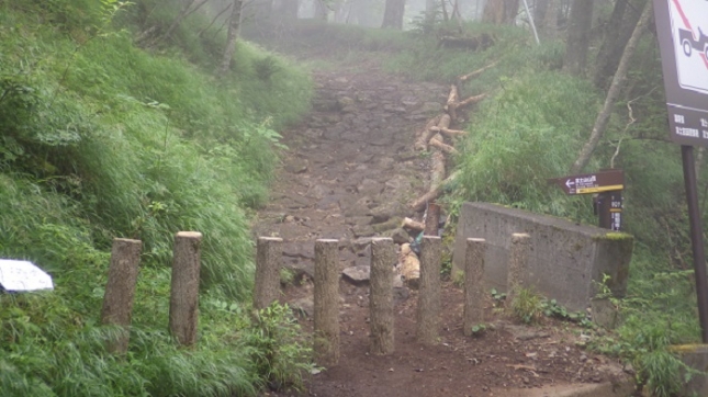 105細尾野林道分岐