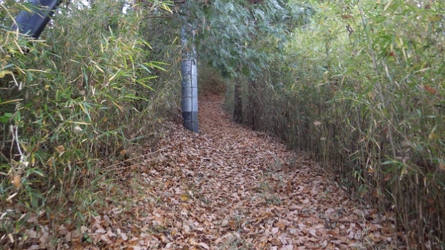 ⑤040丹沢湖大野山線