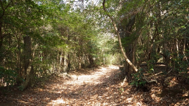 ④057石仏の道180224