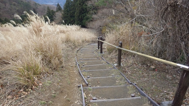 ④185地蔵岩コース