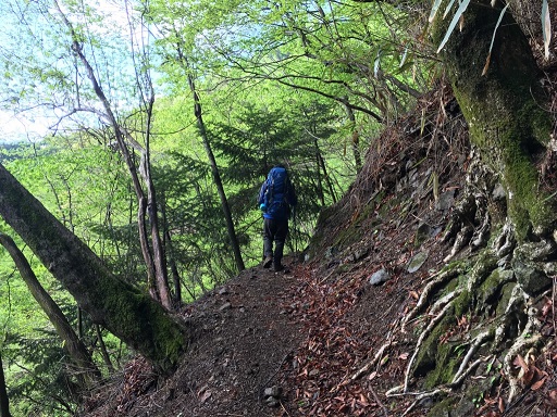 2dd61cf424f15c6998615c252d28358a