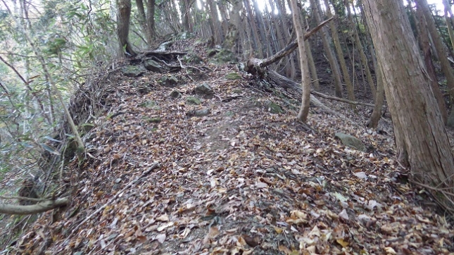 ⑩070丹沢湖大野山線