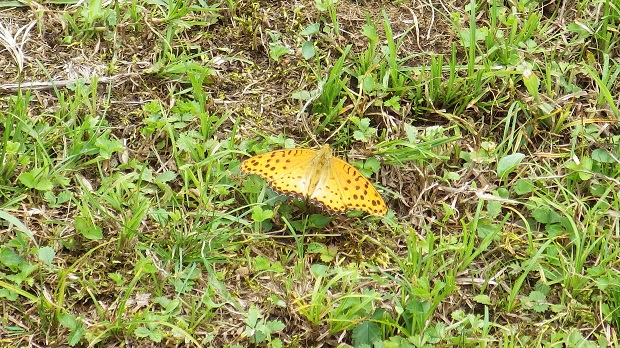 103須走立山展望台