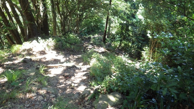 30多比口峠へ道