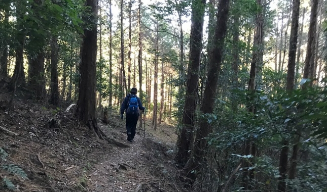 ⑦136益山寺分岐へ山道