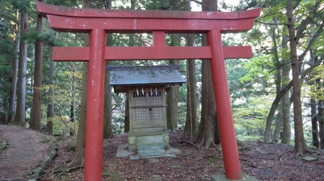 ③249大新稲荷神社