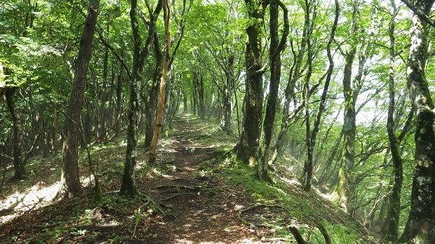 028三国山へロード