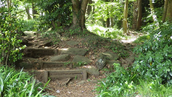 151二の丸から本丸へ