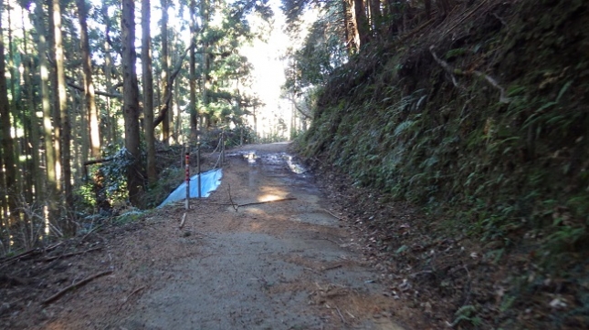 ⑪112葛城山分岐