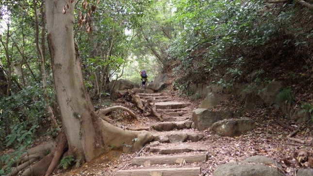 007白雲橋コース