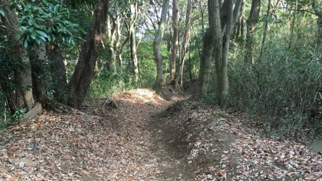 ⑤tmp_日金山4imgresize