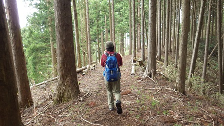 033久保田山後山道