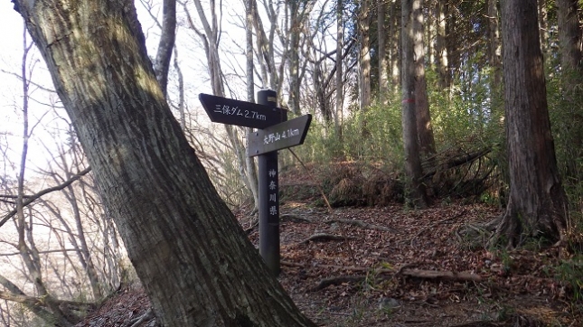 ③092秦野峠分岐