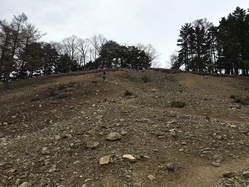 4bea3dcd12c1b65688c85c63d660ad1c