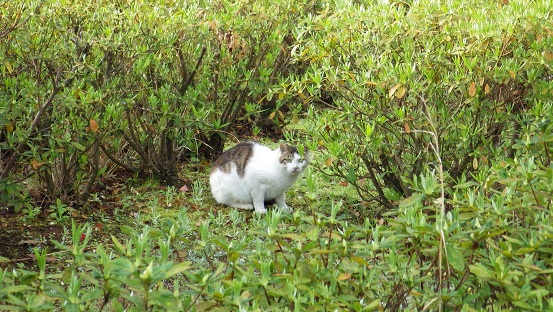 2こっちが近道010