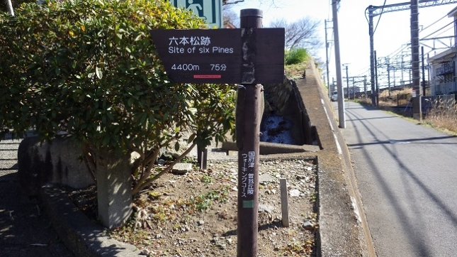 ②015曽我丘陵170204