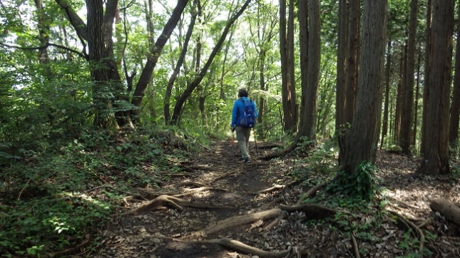069和田峠分岐へ道