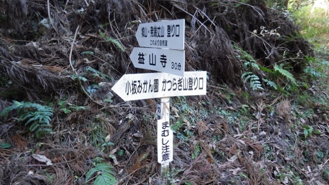 ⑥135葛城山分岐