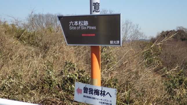 ⑥047曽我丘陵170204