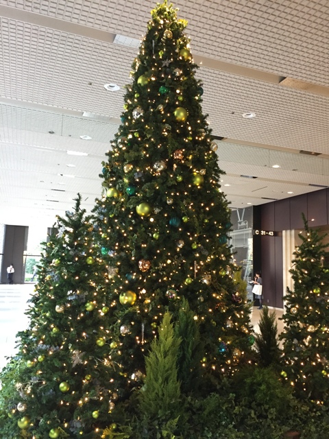 IMG_1856 - コピー