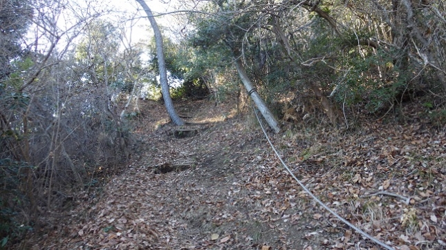 ⑨141発端丈山へ山道