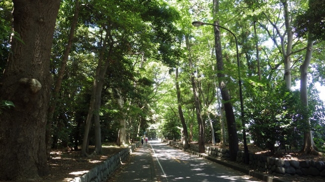 ③018寒川神社参道