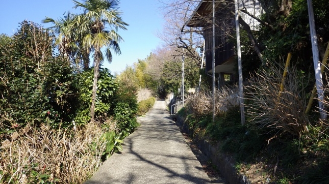 ③016曽我丘陵170204