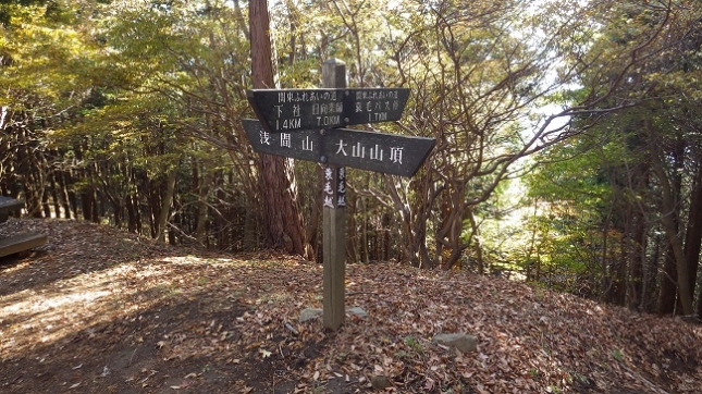 ⑦259蓑毛越分岐