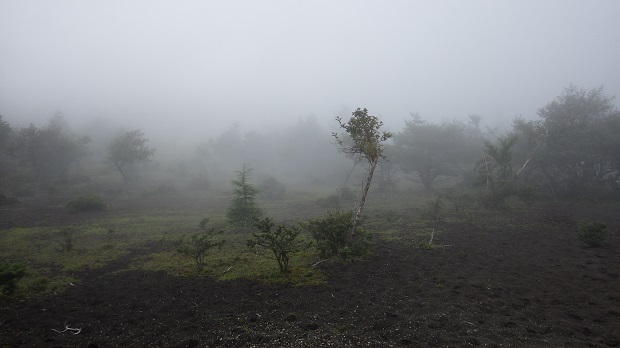 075アザミ平東36