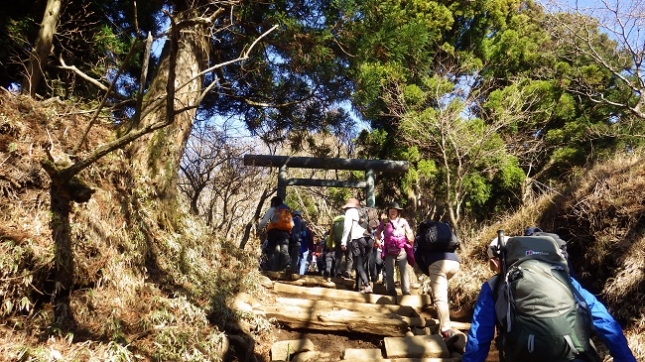 ⑩196第一の鳥居
