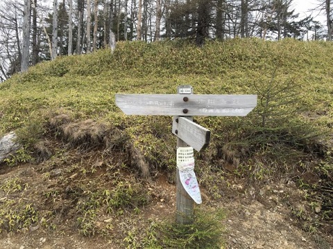 6kokumotmp_imgresize