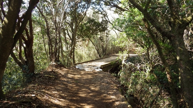 ⑫144石仏の道180224