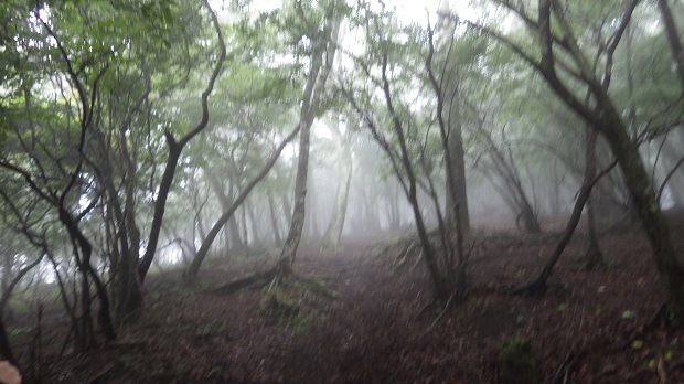 017明神峠ロード